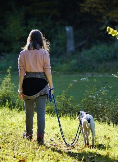 woman, girl, person, dog, human, animal, nature, connected, to stroll, walk, go walkies, connectedness, pet, friendship, together, togetherness, landscape, path, running, relax, quiet, idyll, leisure time, fall